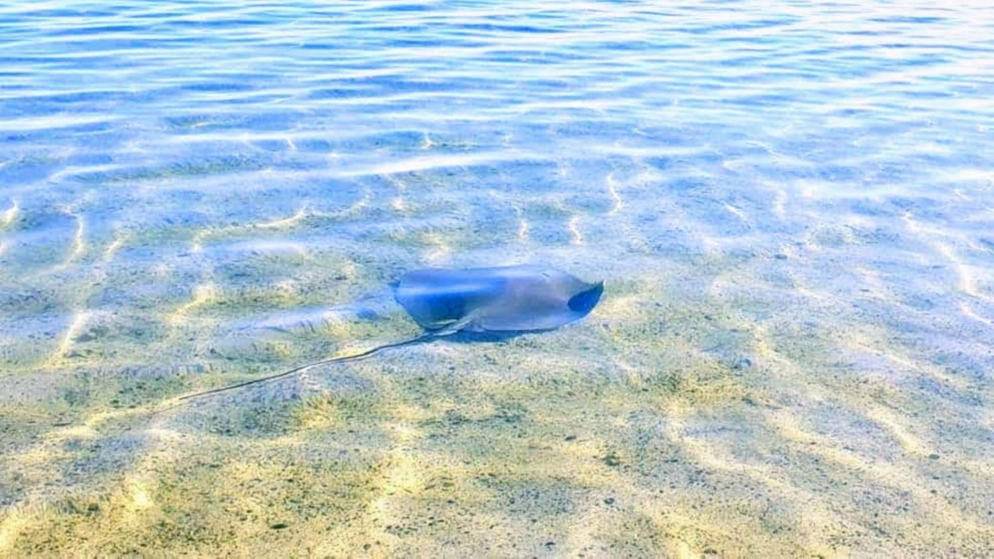 Moorea - Fare Taina Nui Хаапити Экстерьер фото